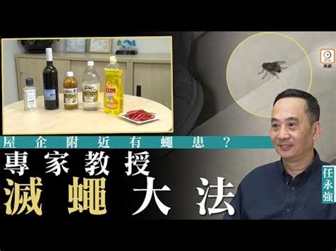 蒼蠅入屋風水|【家裡有蒼蠅風水】家裡有蒼蠅風水，竟是祖先在求救？飛來飛去。